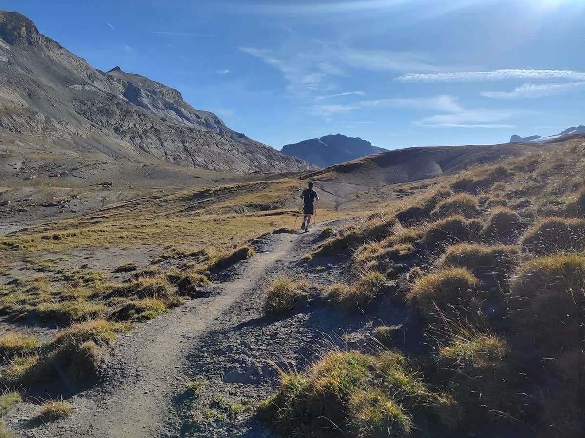 Runner on a singletrack through golden alpine grassland