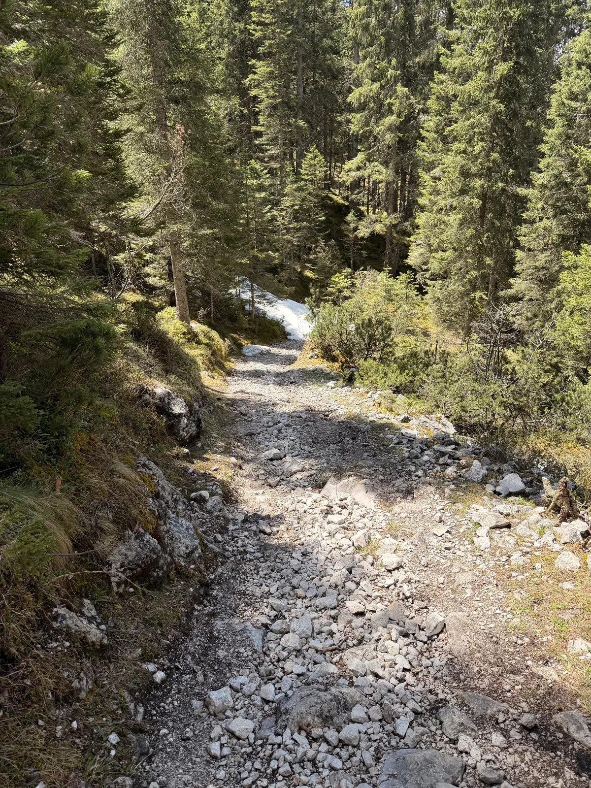 Rough rocky forest trail after Eibsee section, requires care on the night descent, ZUT 107K.