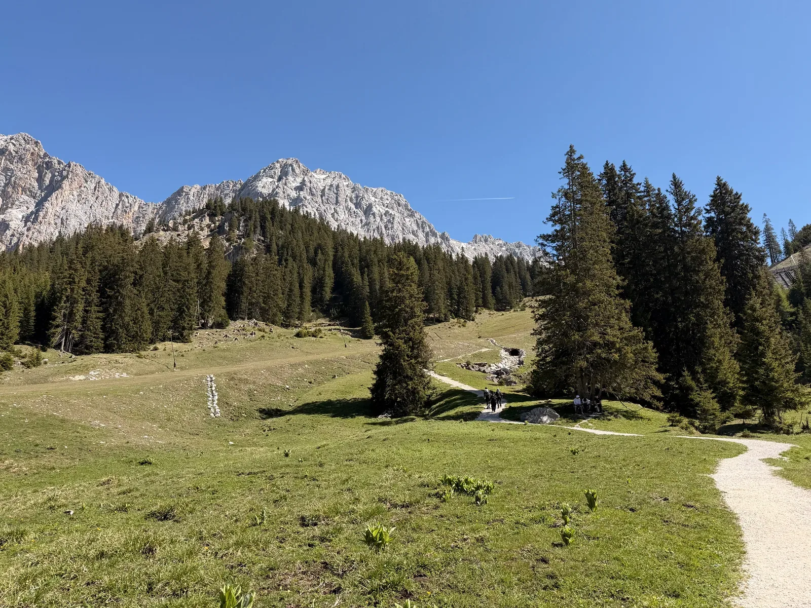 Alpine pasture above Ehrwald with Wetterstein rock faces, ZUT 107K at KM 27.