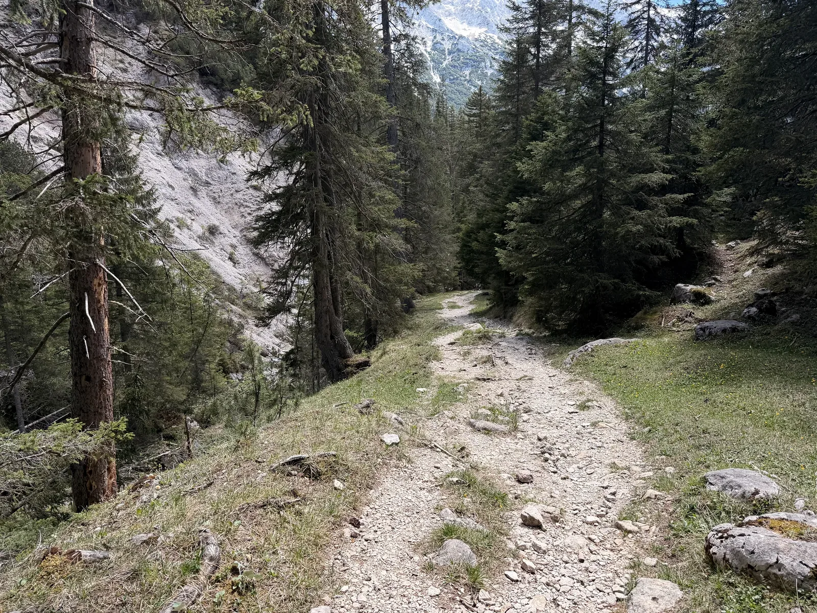 Rocky forest road on the descent after snowfields, more runnable again, ZUT 107K at KM 38.8.