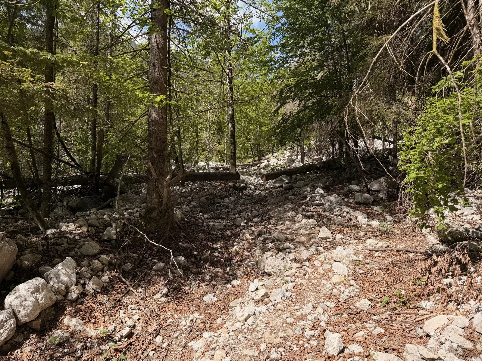 Gravel road with small stream on the right, useful for cooling on hot race days, ZUT 107K.